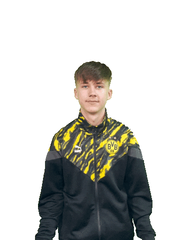 Bvb Sticker by Borussia Dortmund