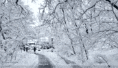 DinomiteTwins snow winter wonderland narnia central park GIF