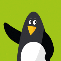 Macha Hello GIF by Grupa Pingwina