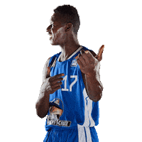 game on gameday Sticker by easyCredit Basketball Bundesliga