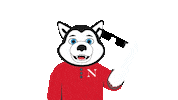 nuexperience Sticker by Northeastern University