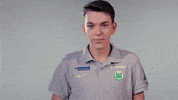 fifa 18 football GIF by VfL Wolfsburg