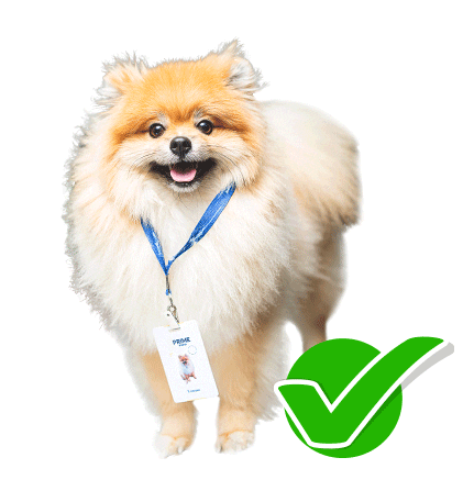 Imobiliaria Sticker by Prime Soho