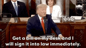 Donald Trump GIF by GIPHY News