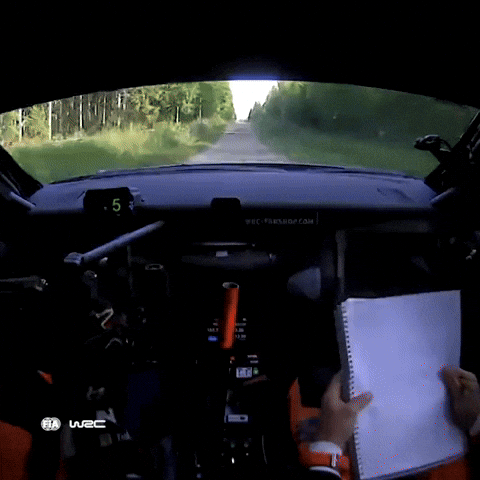 Dashcam Driving GIF by FIA World Rally Championship