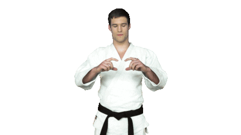 Fight Swipe Up Sticker by Czech judo