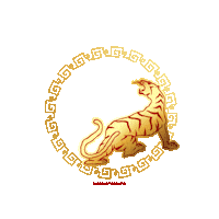 Happy New Year Festival Sticker by 360 Tour Toronto