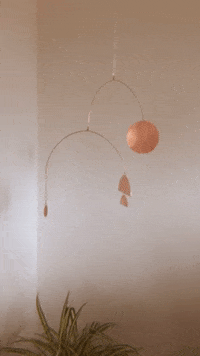 GIF by Raquel Israel
