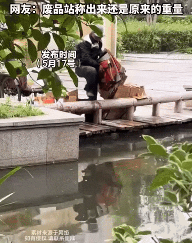 yj_jane giphyupload GIF