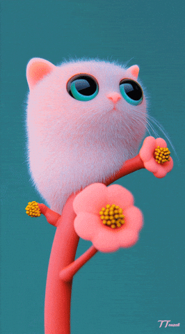 Cat Please GIF