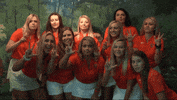 Cnwg19 GIF by Carson-Newman Athletics
