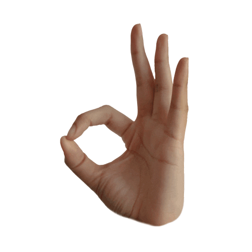 AisyahAbdMunir ok okay hand hands Sticker
