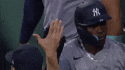 New York Yankees Sport GIF by MLB