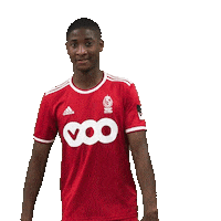 Football Soccer Sticker by Standard de Liège