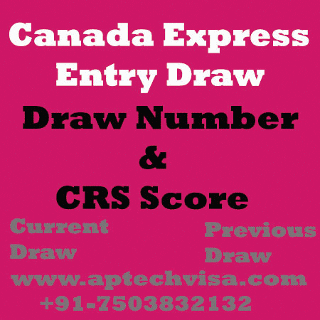 aptechvisa giphyupload canada immigration immigration to canada express entry draw GIF