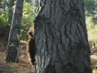 Surprise Hello GIF by Worcester Bosch