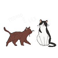 Actafabulaest Sticker by Lauranne leest