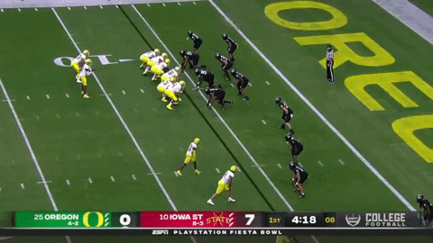 DBSports giphygifmaker GIF