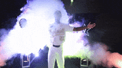 Baseball Hype GIF by NCAA Championships