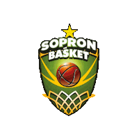 Basketball Women Sticker by FIBA