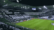 choreo GIF by Borussia Mönchengladbach