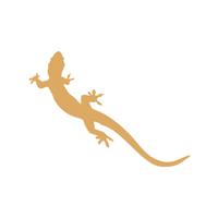 ZionForeverProject utah zion lizzard zionnationalpark Sticker