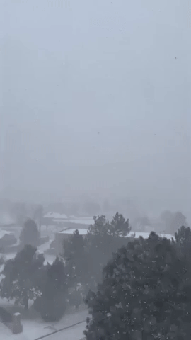 Snow Squall Lashes Denver Area