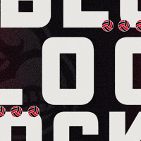 Volleyball Block GIF by Louisville Cardinals