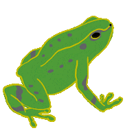 malvafurst natur spektra spektradesign gillanaturen Sticker