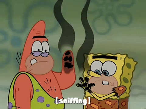 season 3 spongebob b.c. GIF by SpongeBob SquarePants