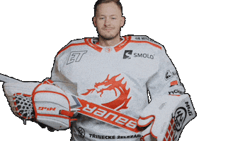Trinec Sticker by HC Oceláři Třinec