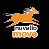 nuvallo horse snack horse supplement nuvallo move GIF