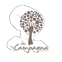 InCampagnaPL tree sicilia sicily arancia Sticker