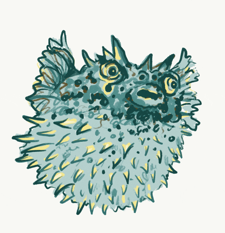 sophieaillustration angry ocean fish sea GIF