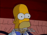 Season 3 Episode 20 GIF by The Simpsons