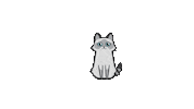 Cat Pet Sticker by ClaireaBella