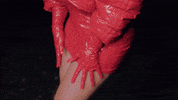 GIF by IVY PARK