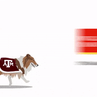 College Football Sportsmanias GIF by Wells Fargo