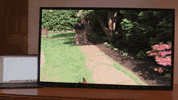 paul campbell love GIF by Hallmark Channel