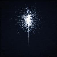 New Years Celebration GIF by Erica Anderson