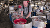 The Amazing Race Fish GIF by CBS