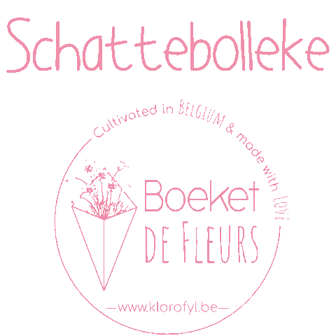 boeketdefleurs giphyupload local bouquet brussels Sticker