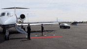 happy true love GIF by Fifty Shades