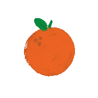 Orange Fruit Sticker