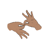 probonoasl pbasl Sticker