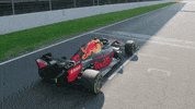 redbullracing car racing race f1 GIF