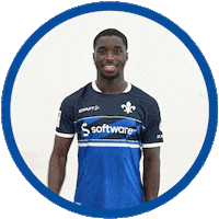 Hallo 2 Bundesliga Sticker by SV Darmstadt 1898 e.V.