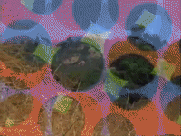 action league nicksplat GIF