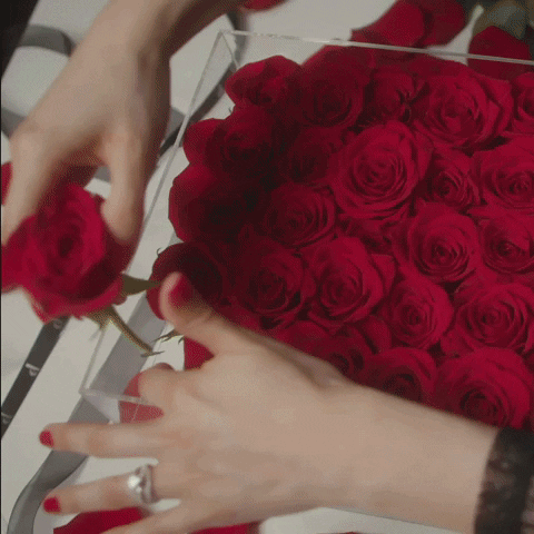 Rosesinabox GIF by Privé Roses