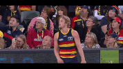 afl celebrate GIF by Adelaide Crows